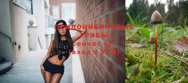 ешки Алзамай