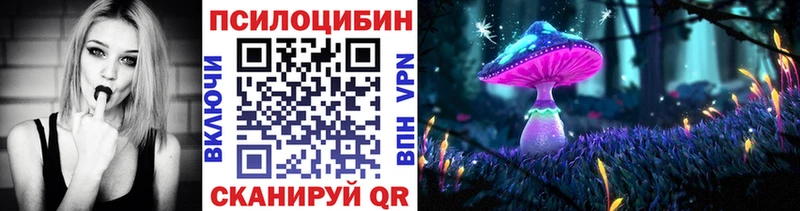 Псилоцибиновые грибы ЛСД  купить  сайты  ОМГ ОМГ ССЫЛКА  Славск 